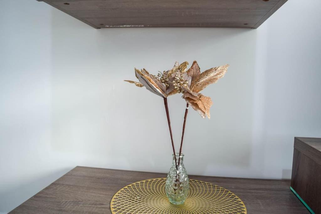 Cozy Apartment, Close To The Sea C4 세인트폴스베이 외부 사진